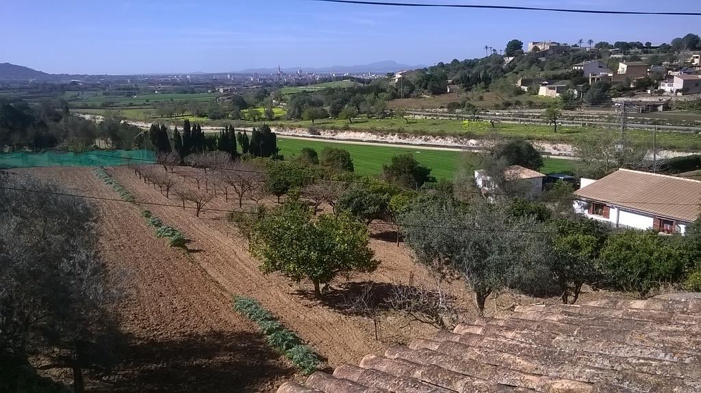 La Casita Villa Manacor  Luaran gambar